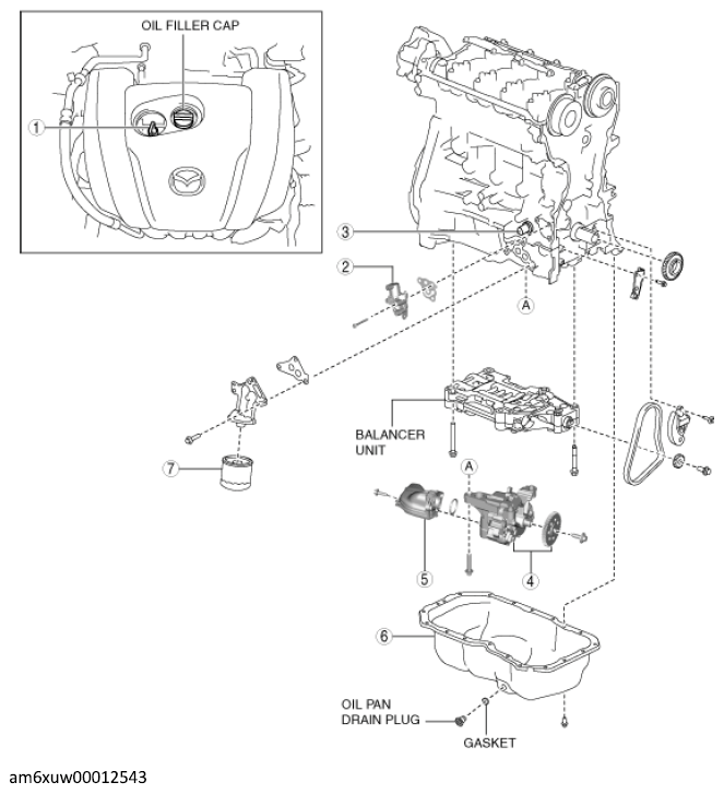 G12228876