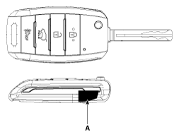 G12235449