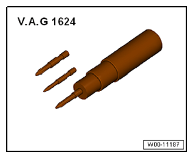 G12354026
