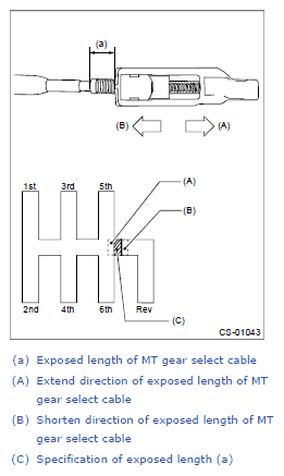 G12437145