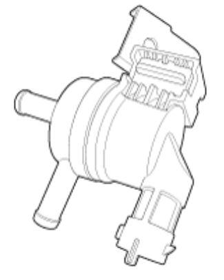 G12598564