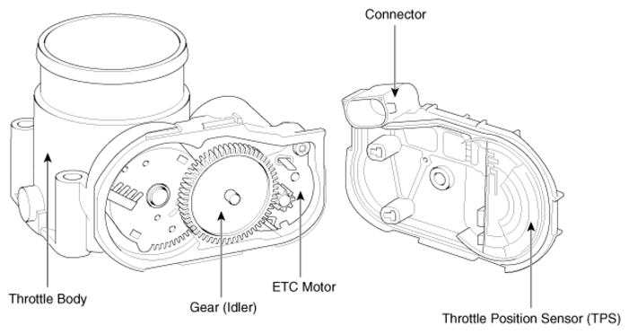 G12633282