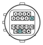 G12763273