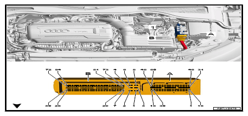 G12778498