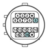 G12793494