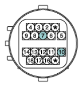 G12793498