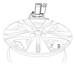 G12793776