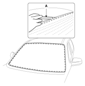 G12794636