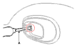 G12820226