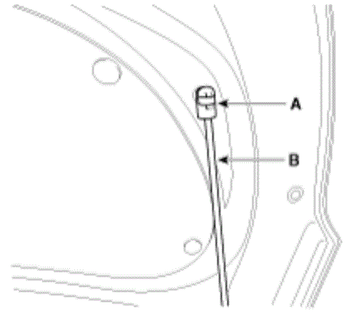 G12820316