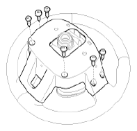 G12821088