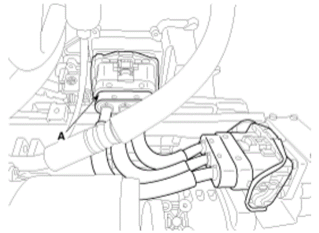 G12826008