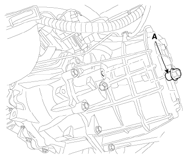 G12830449