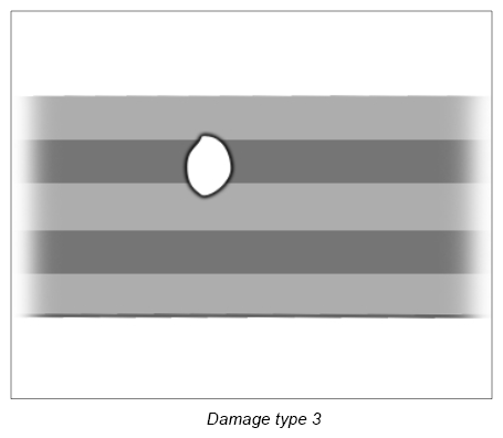 G12836097
