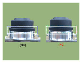 G12858859