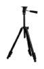 G12915090