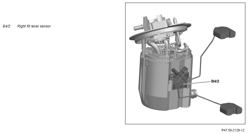 G12939564