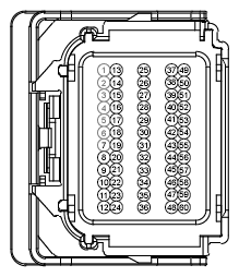 G12974443