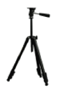 G12976825