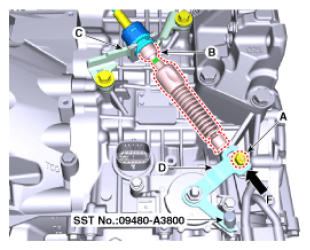 G12992495