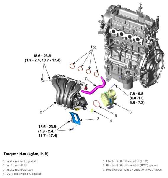 G12997832