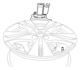 G13028704