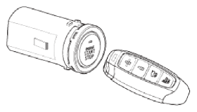 G13036098