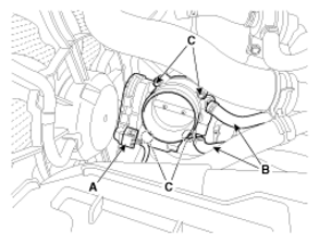 G13039421