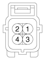 G13039434