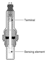 G13039455