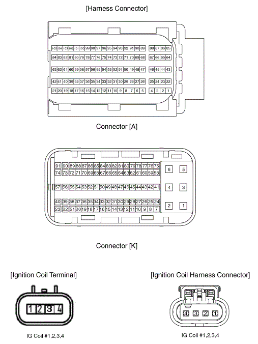 G13044031