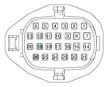 G13044419
