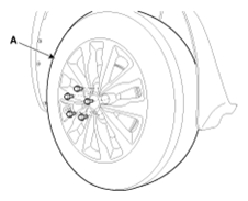 G13044753