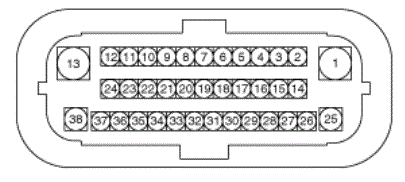 G13045629