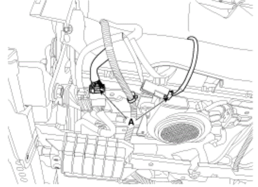 G13046149
