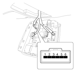 G13047166