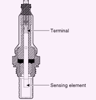 G13052584