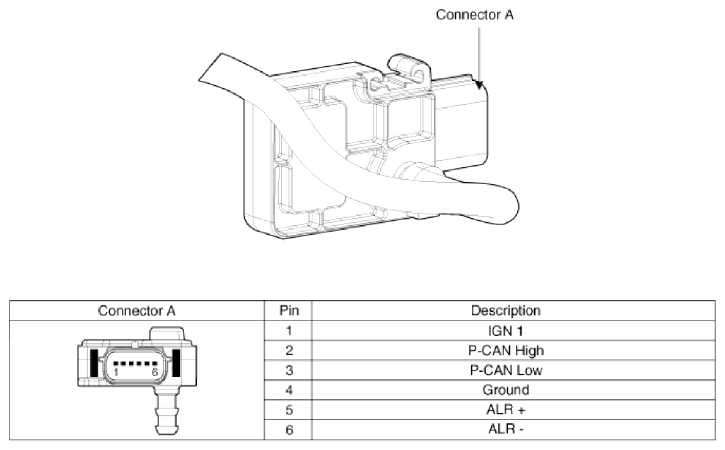 G13053284