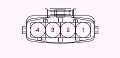 G13055526