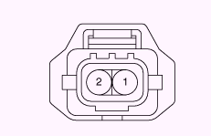 G13055540