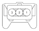 G13055545