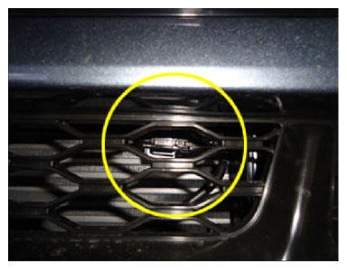 G13056297