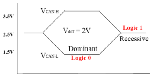 G13065196