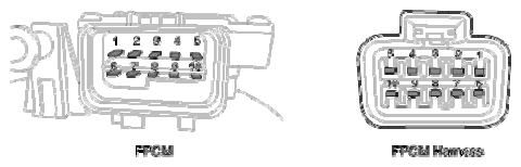 G13077751