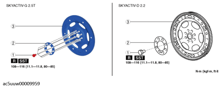 G13112686