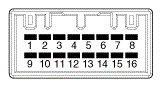 G13116454