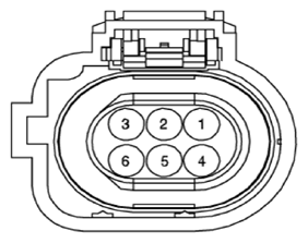 G13143394