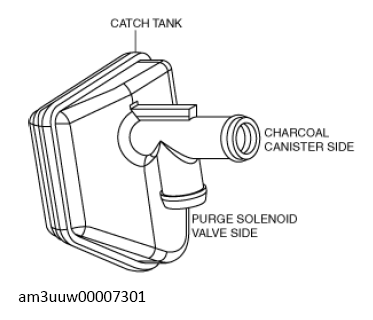 G13149552