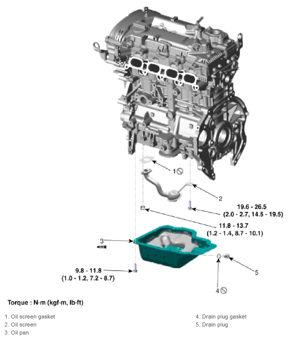 G13155342
