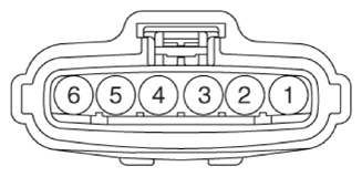G13155705